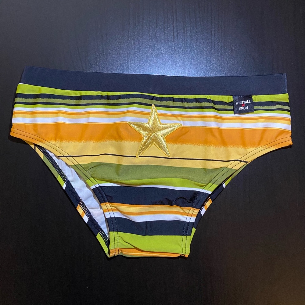 Men's Swimming Briefs Trunks SMALL New!